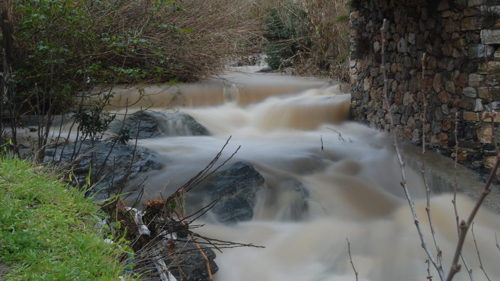 Taverna Vassilis photo 3