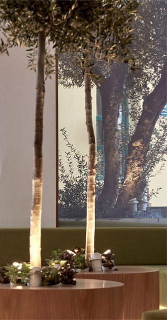 Olive Green Hotel photo 3